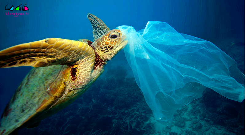 آلودگی کره زمین با پلاستیک